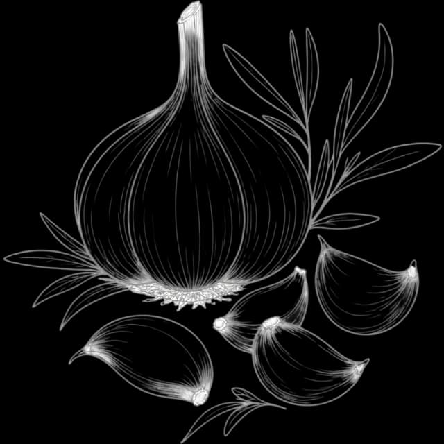 Garlic